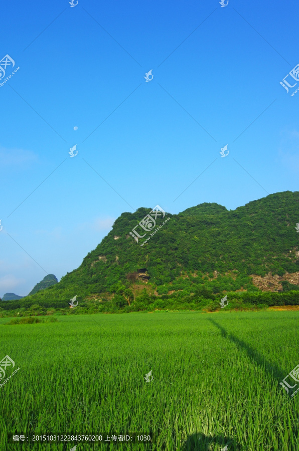 生态,环保,蓝天,自然风景