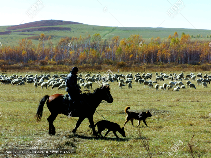 骑马放牧羊群的牧人