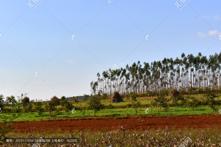 田园风光