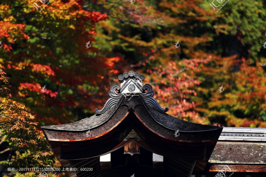 京都神护寺建筑屋檐雕花