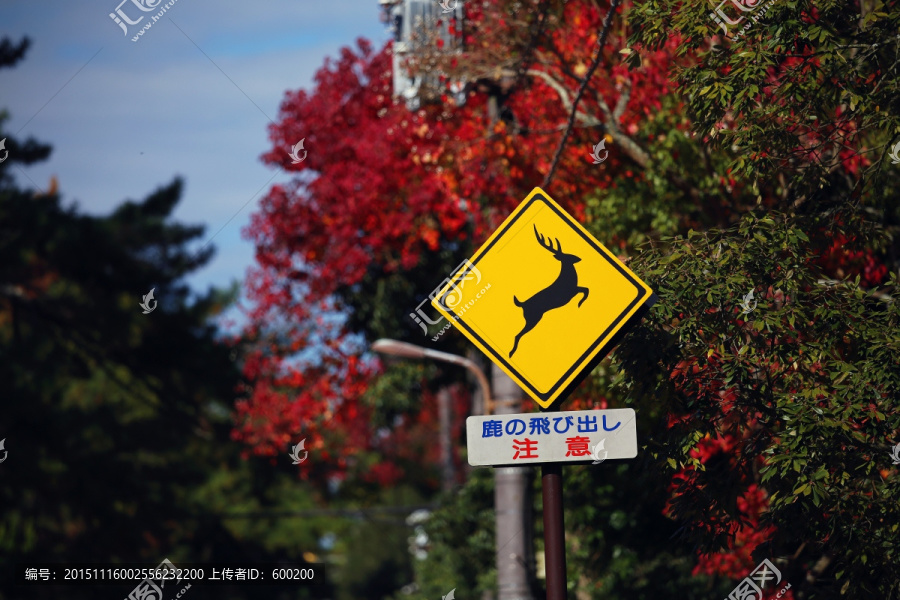 日本奈良小鹿交通标识牌