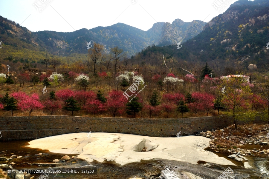 泰山桃花峪风光