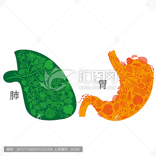 胃肺