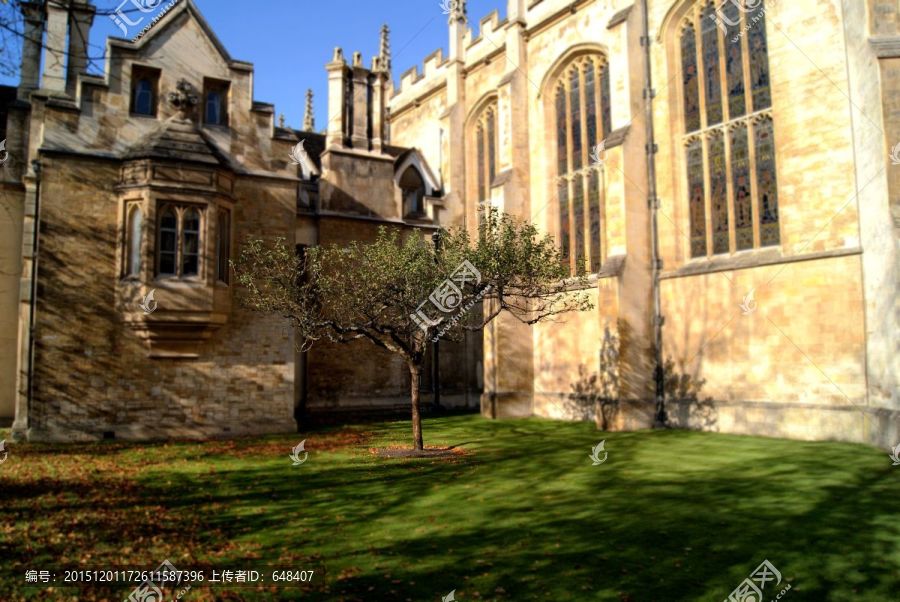 剑桥国王学院的牛顿苹果