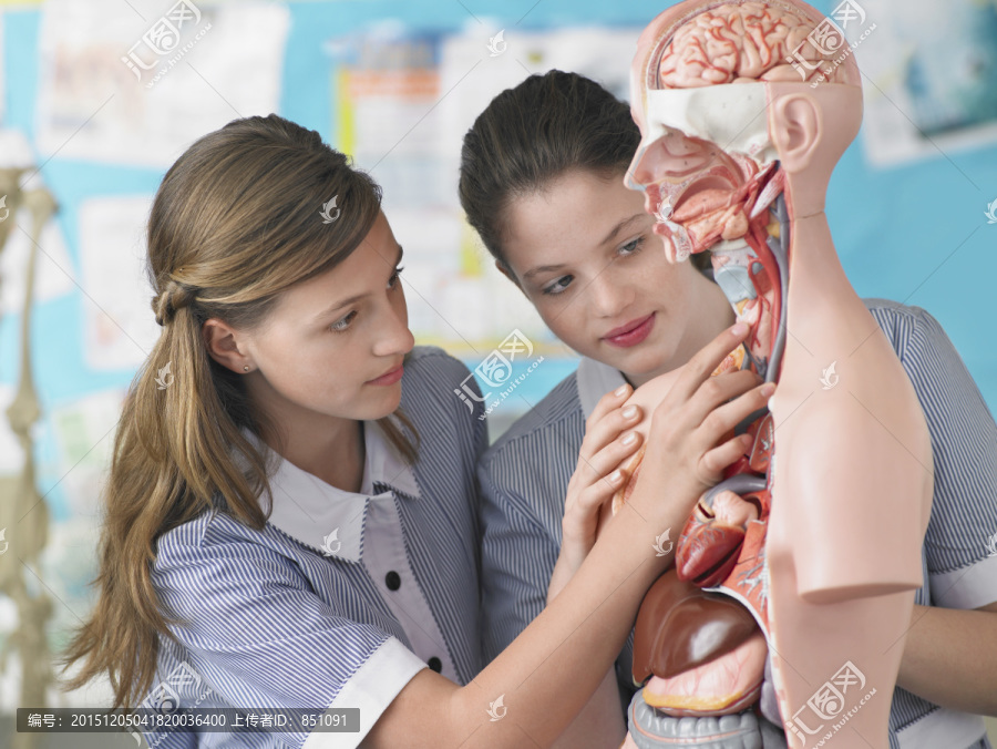 学生与人体剖面图