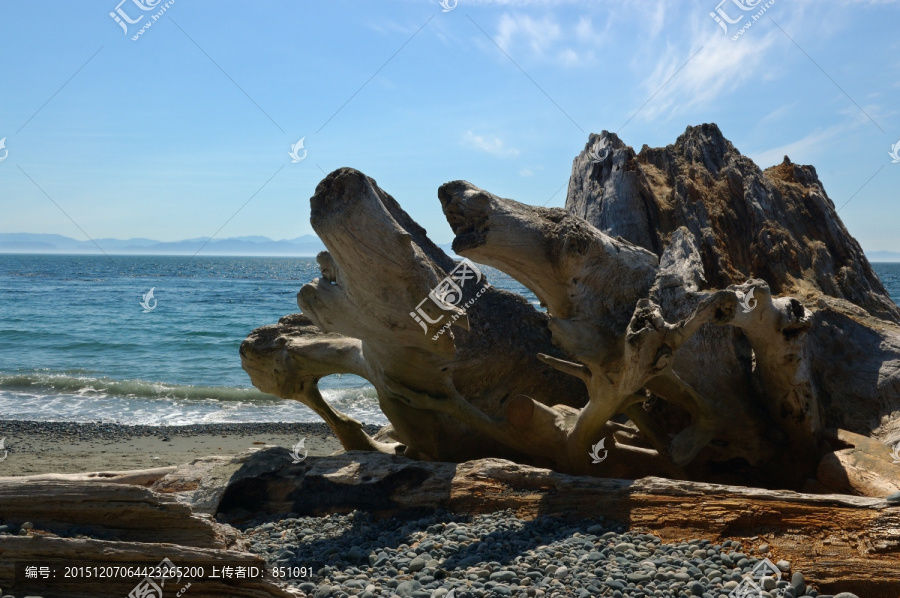 海滩