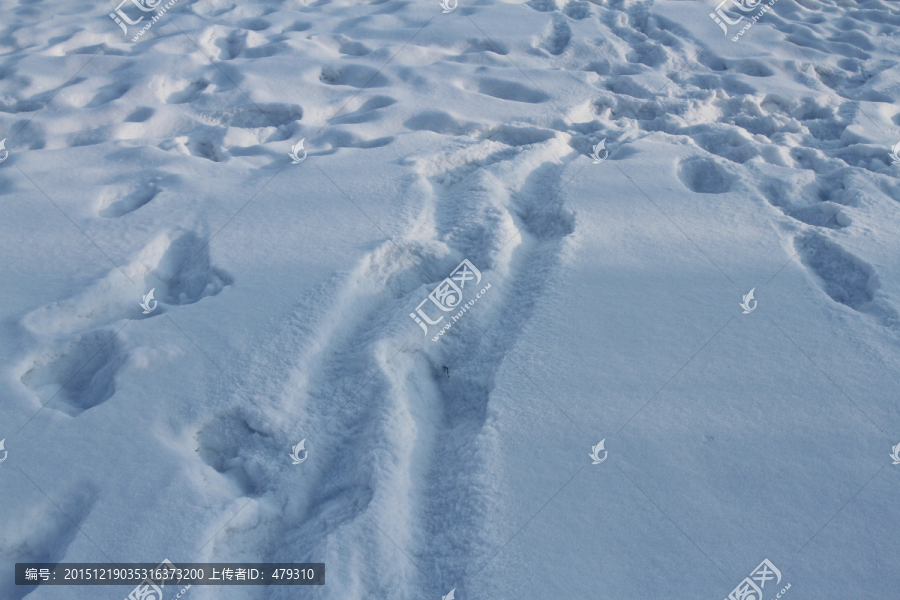 冬天,雪,白雪