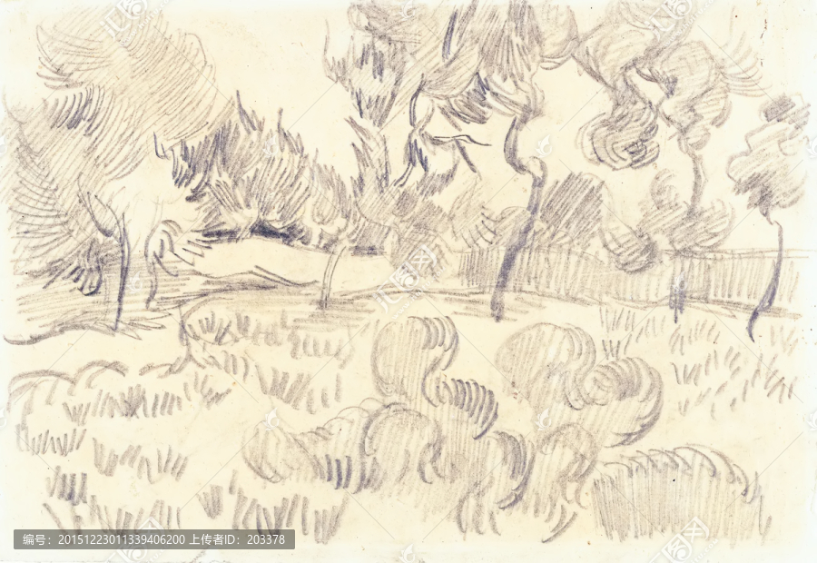 梵高作品素描,庇护满树