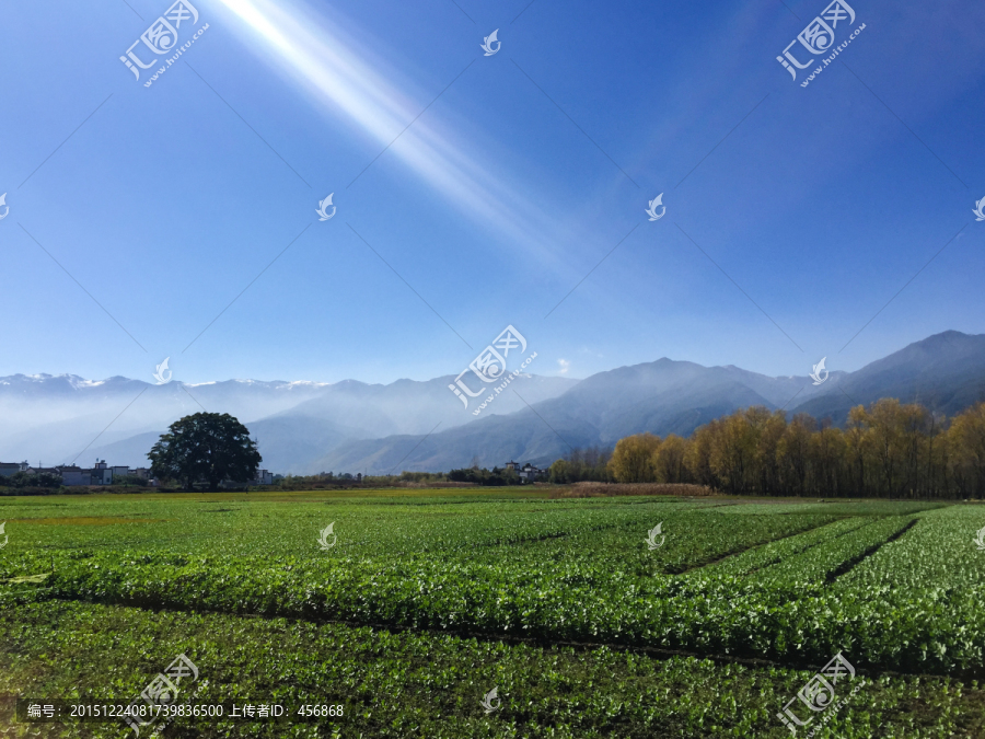 苍山脚下有田园