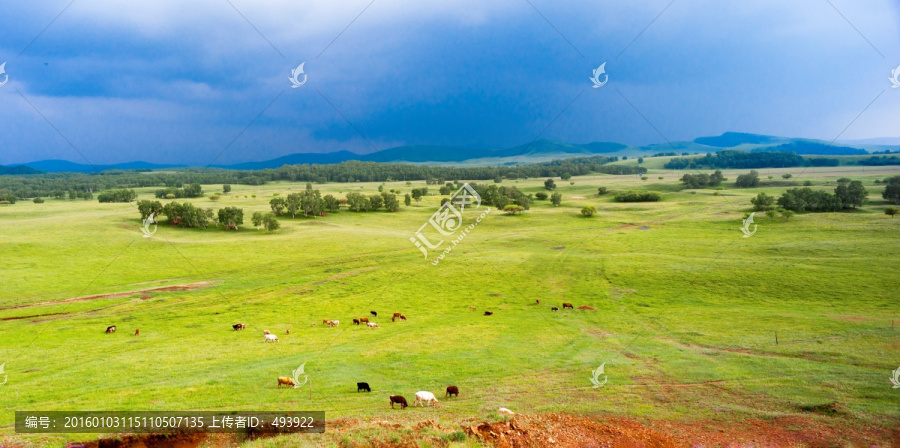 草原风光,内蒙古草原