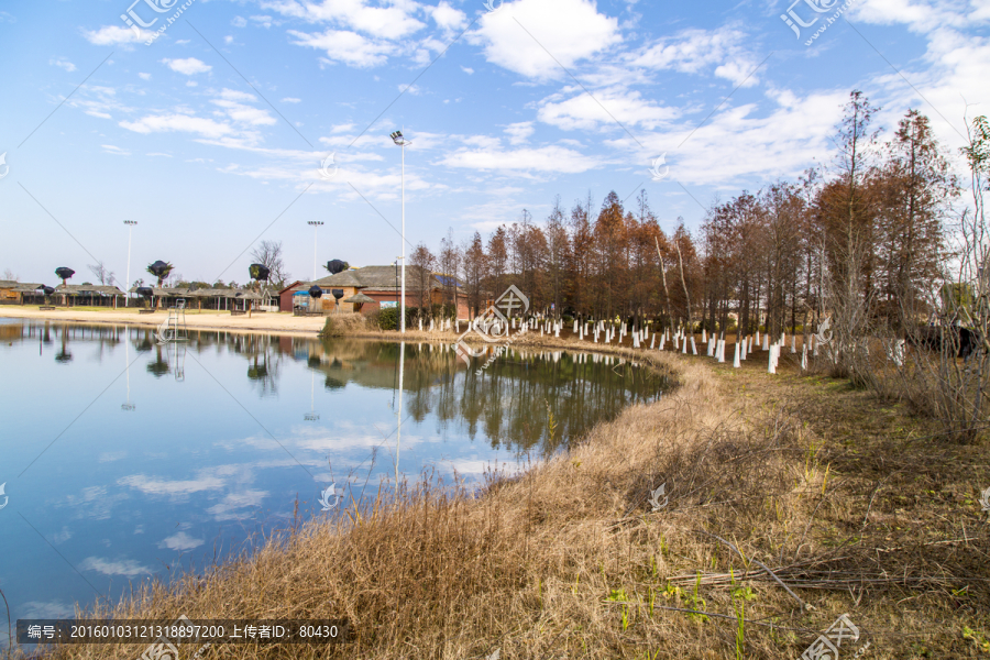 太湖湿地景观