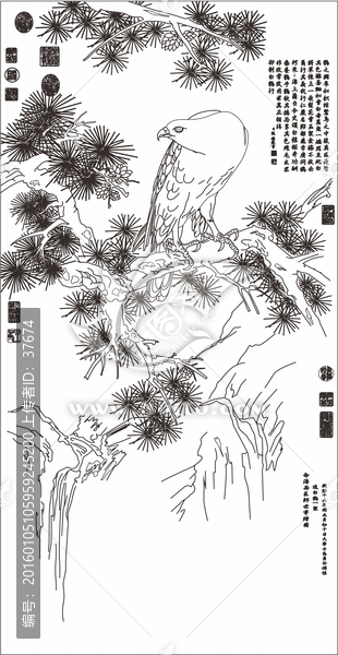 单线线描古松鹫鸟