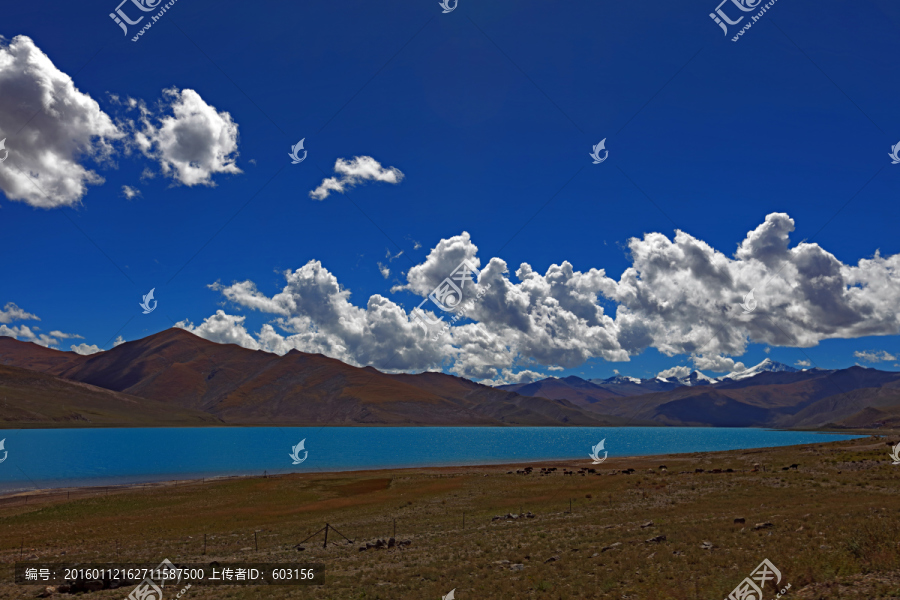 西藏羊卓雍错,,羊湖