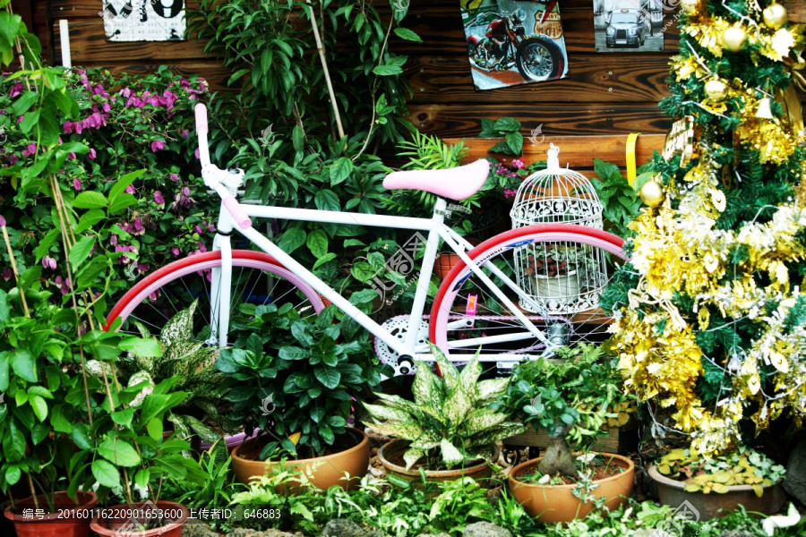 静物摄影,自行车,花丛