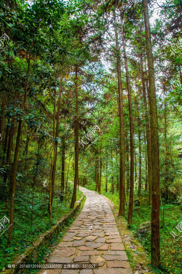 山间小道