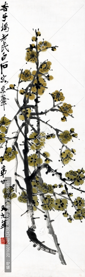 齐白石,梅花图,未分层
