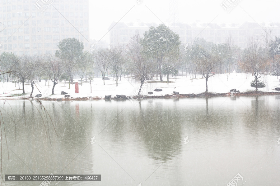 雪地美景,大雪纷飞