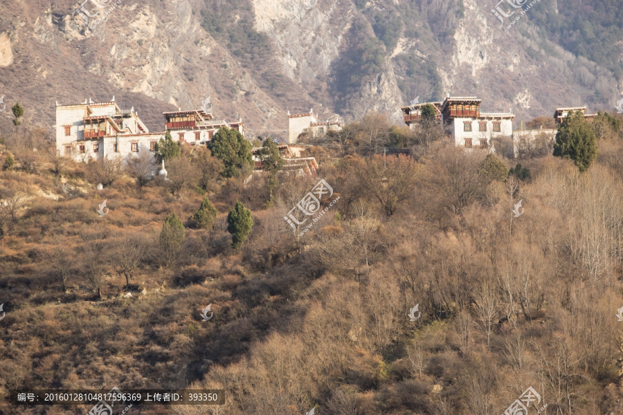 山坡上的藏族村寨
