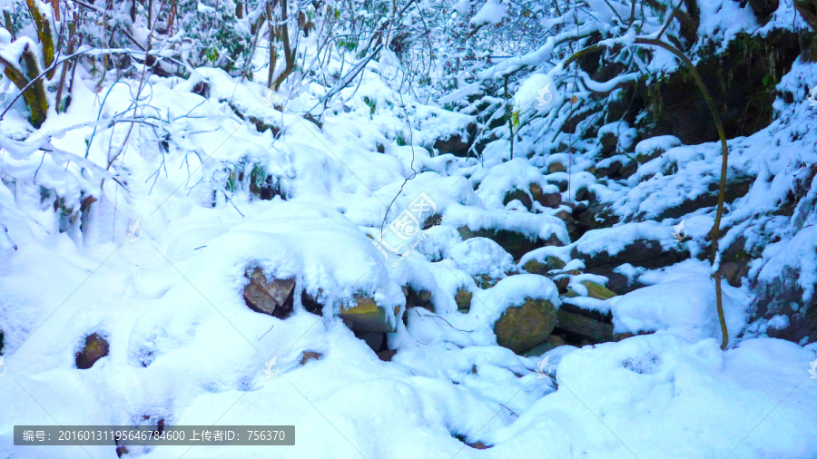 冰雪树枝,洁白世界