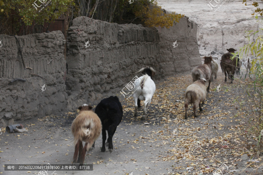 维吾尔族村庄
