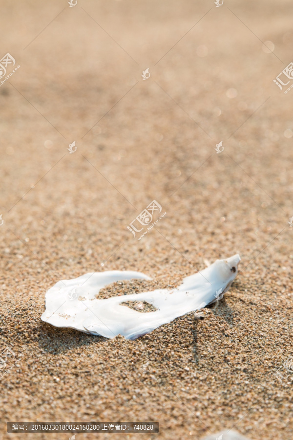 沙滩