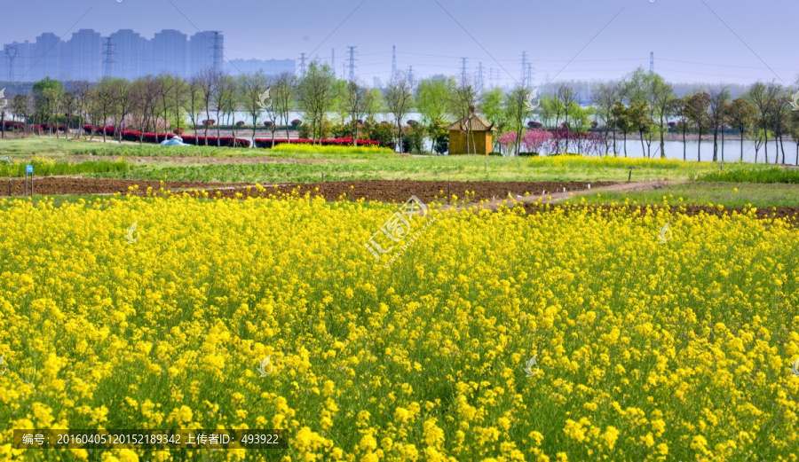 农家乐,田园田园,高清晰