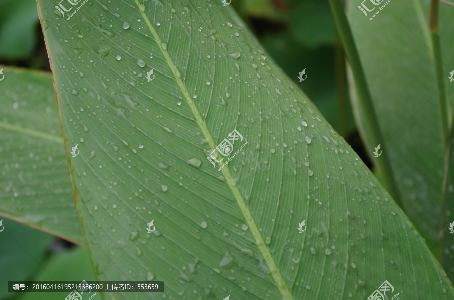 水珠