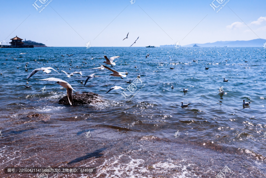 青岛湾风光