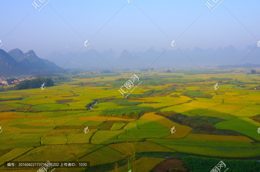 风景,秋天风景