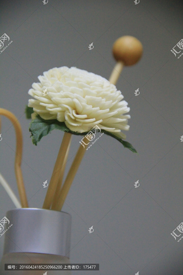 白色木花