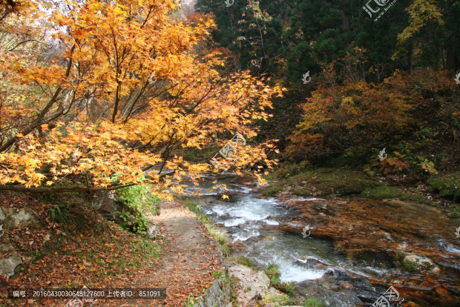 温泉银山