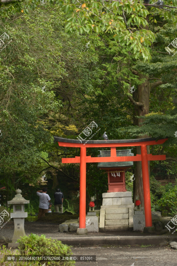 日本浅间神社