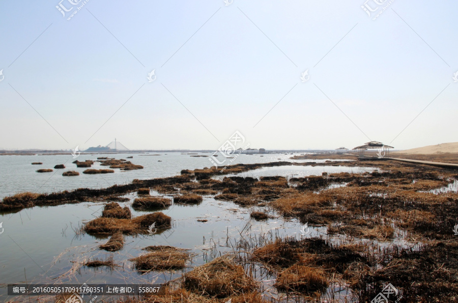 银川沙湖风光