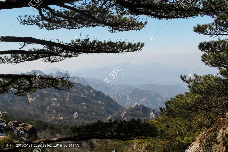 松林远山