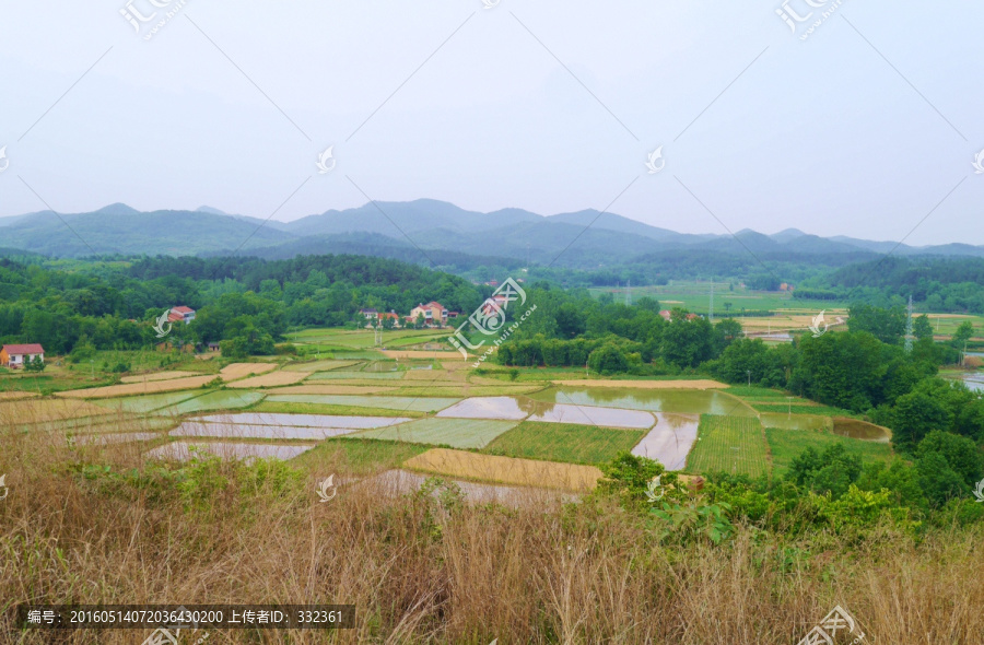 山里的水田