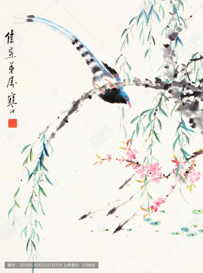 花鸟国画,画廊高清品质