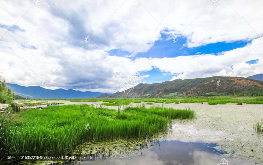 泸沽湖湿地