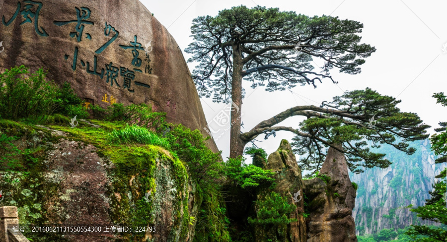 黄山迎客松全景大图