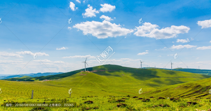 塞北林场