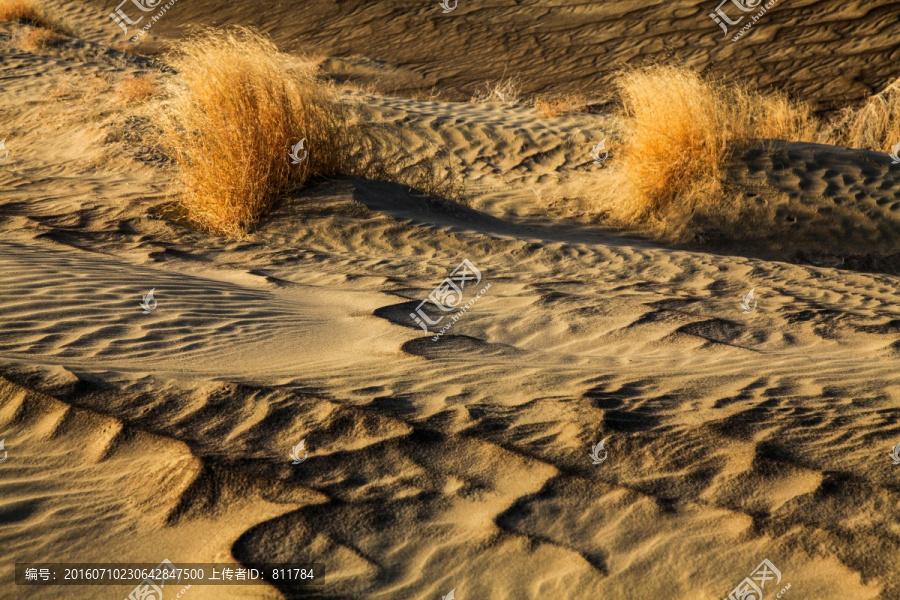 干旱沙漠