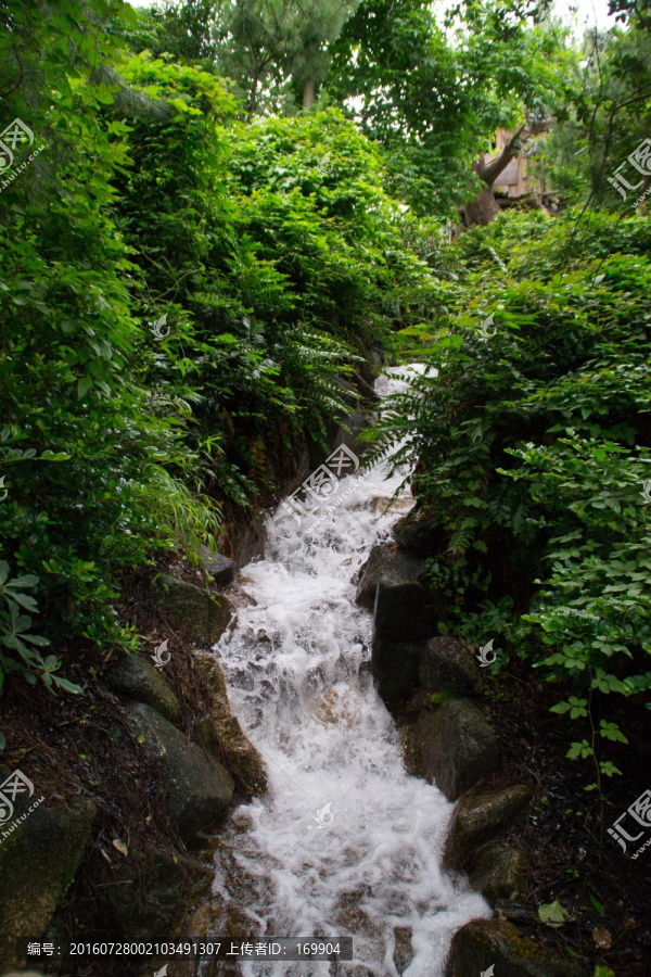 溪水,溪流