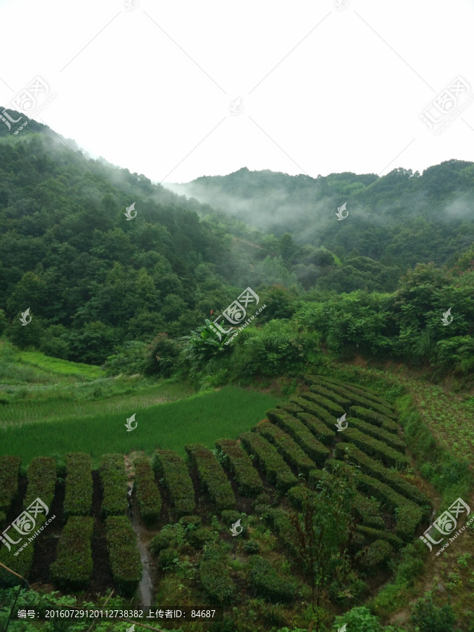 山,大山,云雾