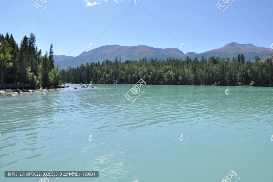 远山,松林和湖水