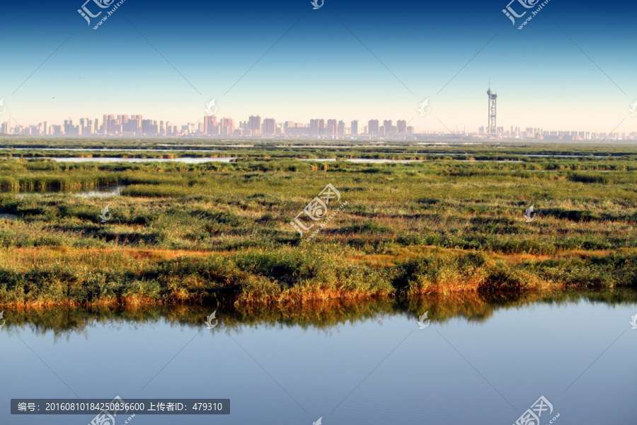 大庆,湿地景色