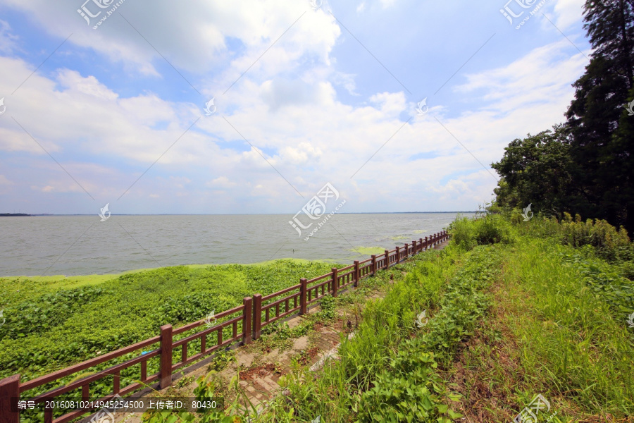 淀山湖风光