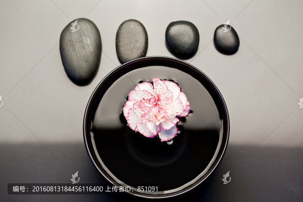 黑色石头和漂浮再水上的康乃馨