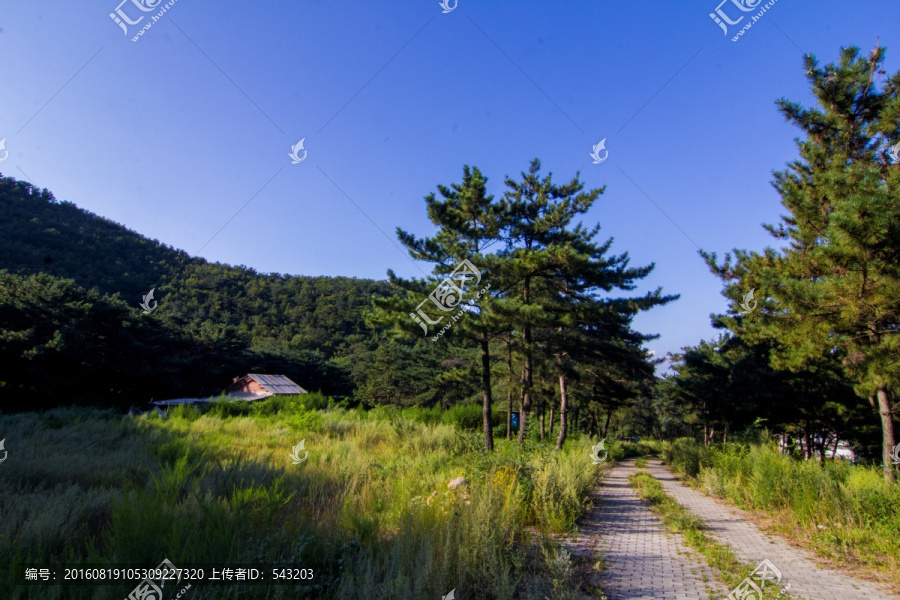林间小路
