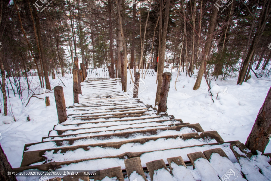 森林雪景登山步道