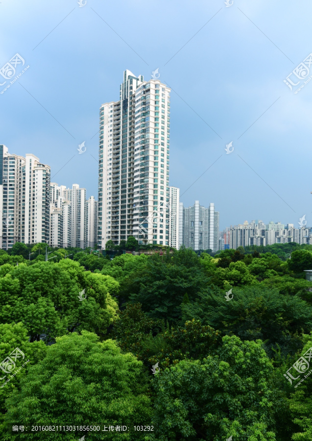城市居民楼建筑与绿树