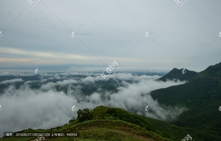 云海,云雾,高山